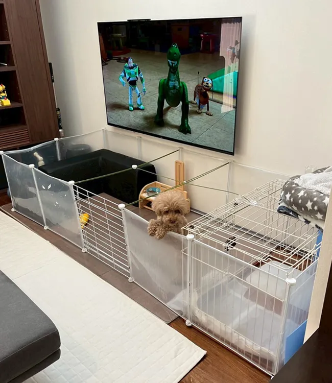 犬小屋-ビフォー